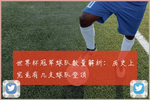世界杯冠军球队数量解析：历史上究竟有几支球队登顶